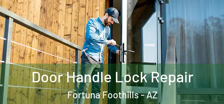 Door Handle Lock Repair Fortuna Foothills - AZ