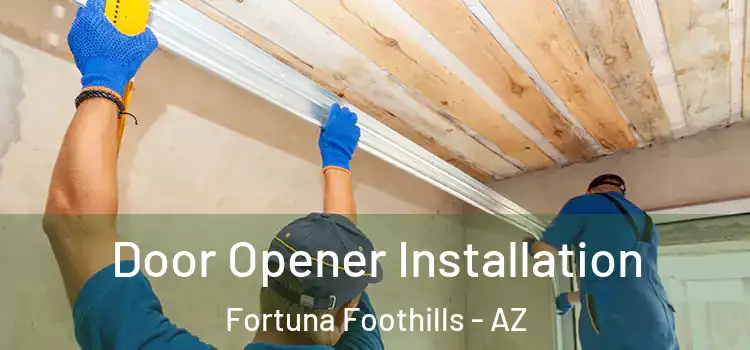 Door Opener Installation Fortuna Foothills - AZ