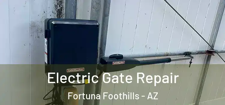 Electric Gate Repair Fortuna Foothills - AZ
