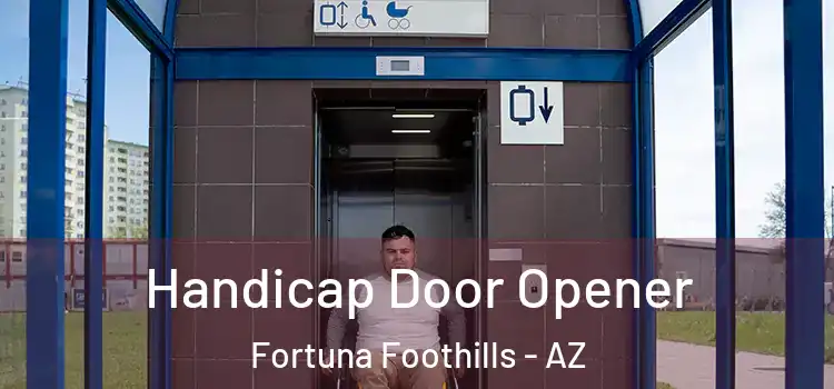 Handicap Door Opener Fortuna Foothills - AZ
