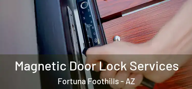 Magnetic Door Lock Services Fortuna Foothills - AZ